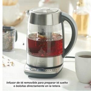 VIDA SANA by princess house Silver and Gray Electric Kettle with Infuser